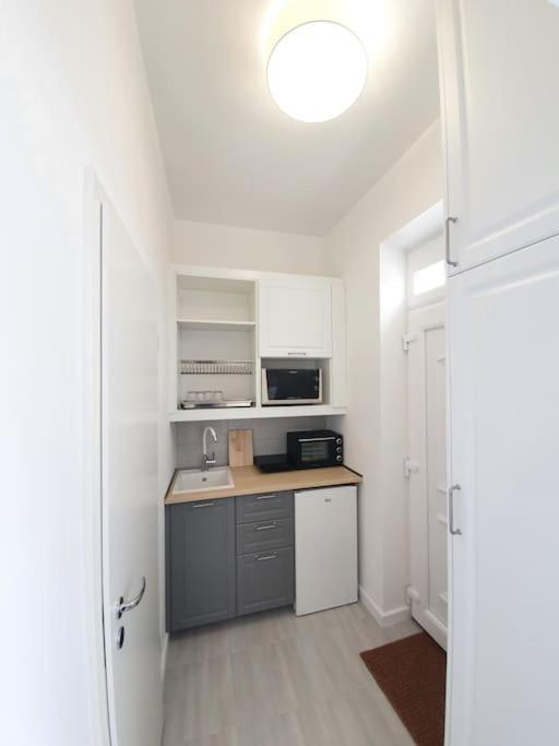 Master Apartment With Air Condition And Separated Rooftop Terrace Budapest Eksteriør billede
