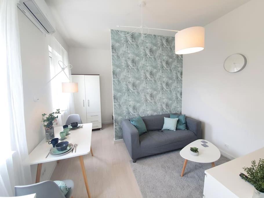 Master Apartment With Air Condition And Separated Rooftop Terrace Budapest Eksteriør billede
